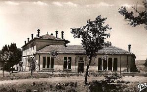 Vialar 607